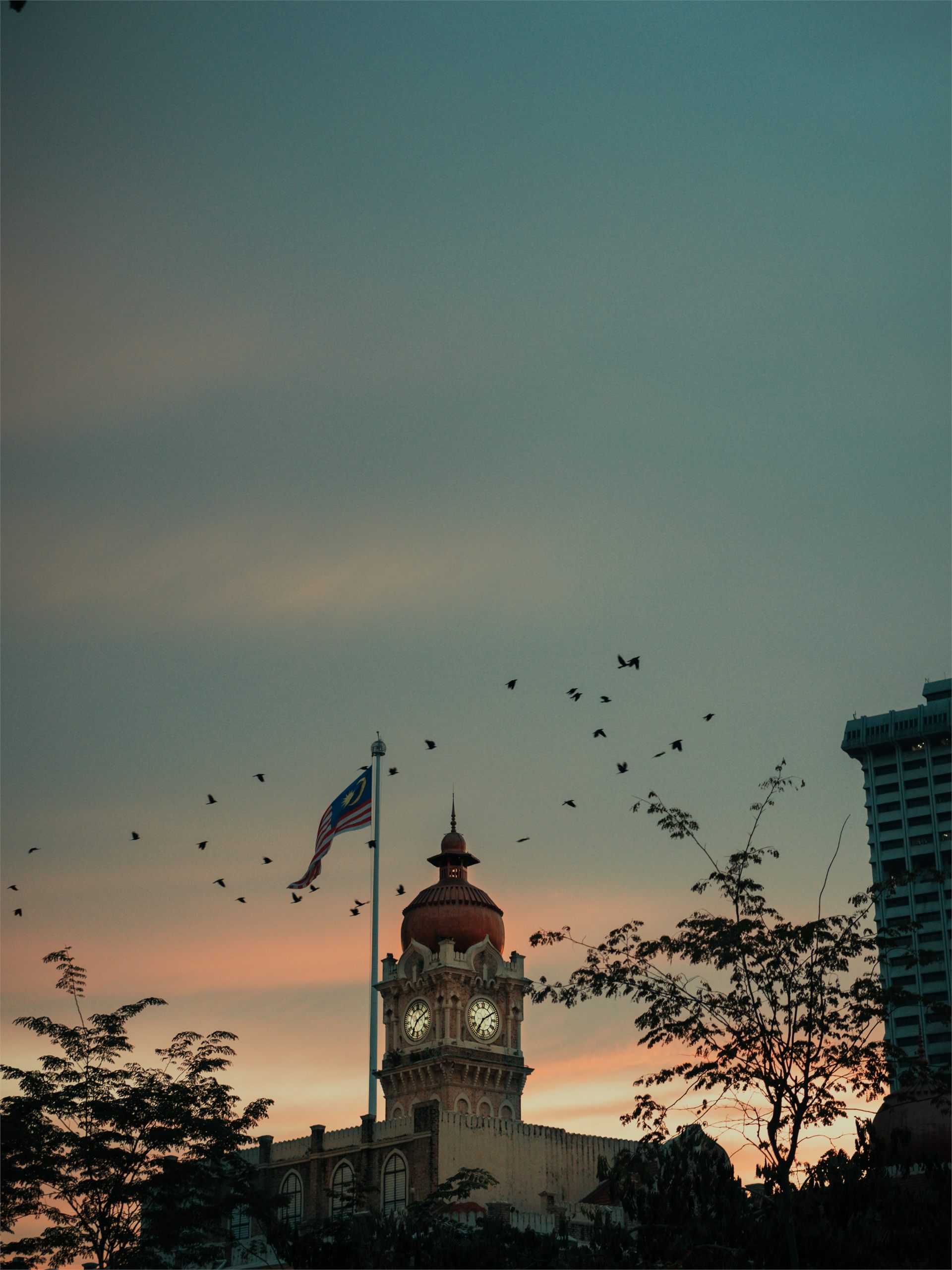 Birds taking flight over the treetops of Bukit Tunku