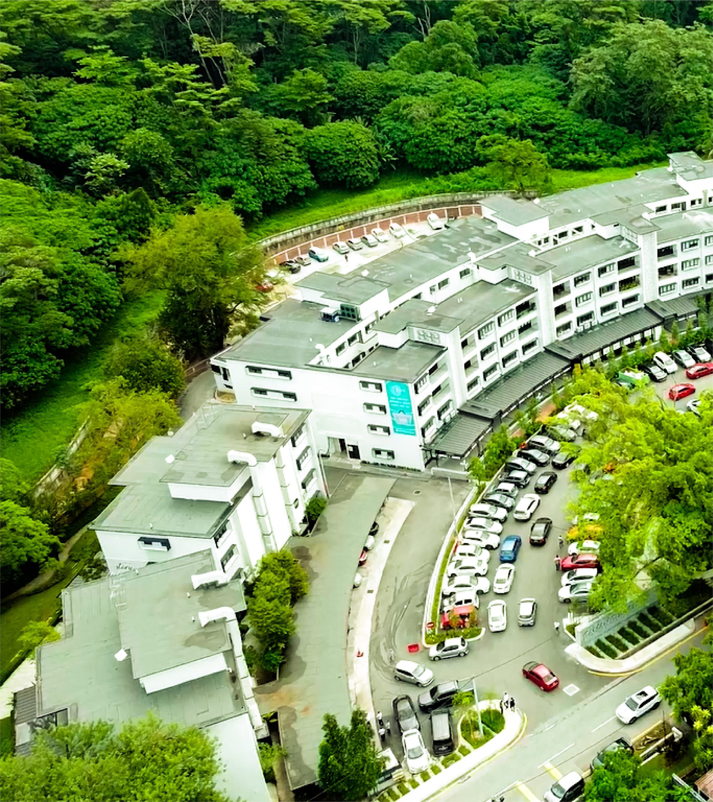 Aerial view of the Bukit Tunku neighbourhood and its tree canopy