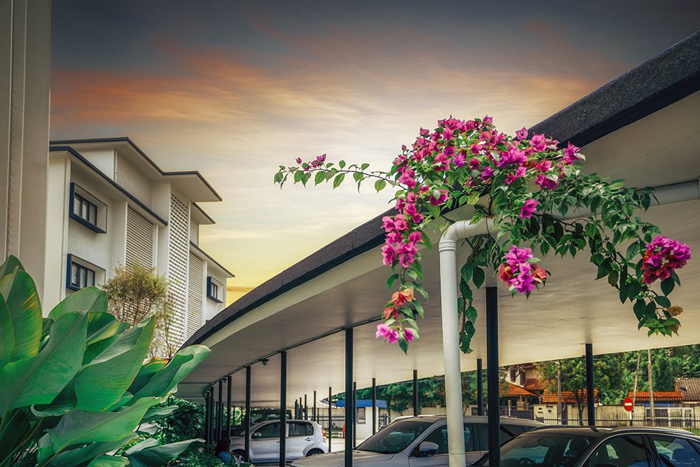 Bougainvillea climbing the colonnade at The Stories of Taman Tunku