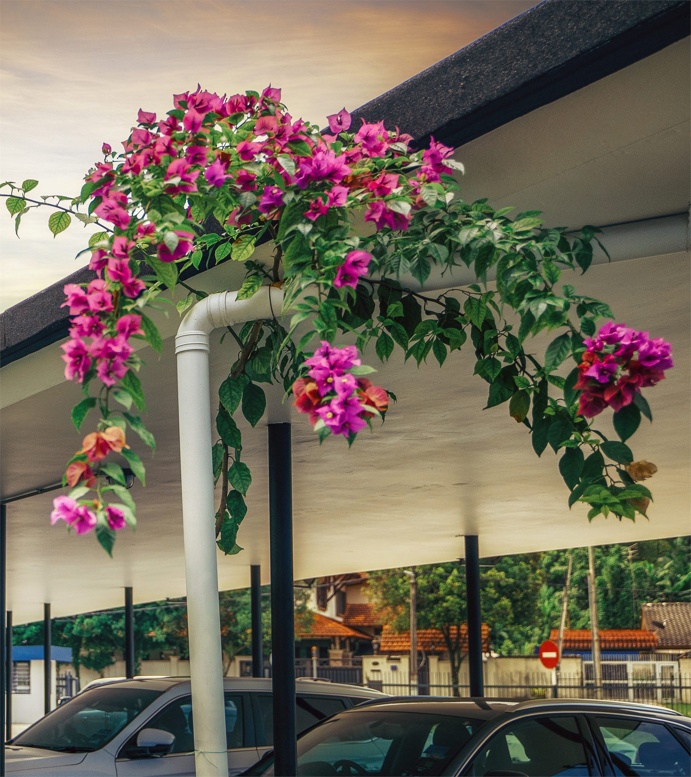 Covered walkway lined with bougainvillea at The Stories of Taman Tunku