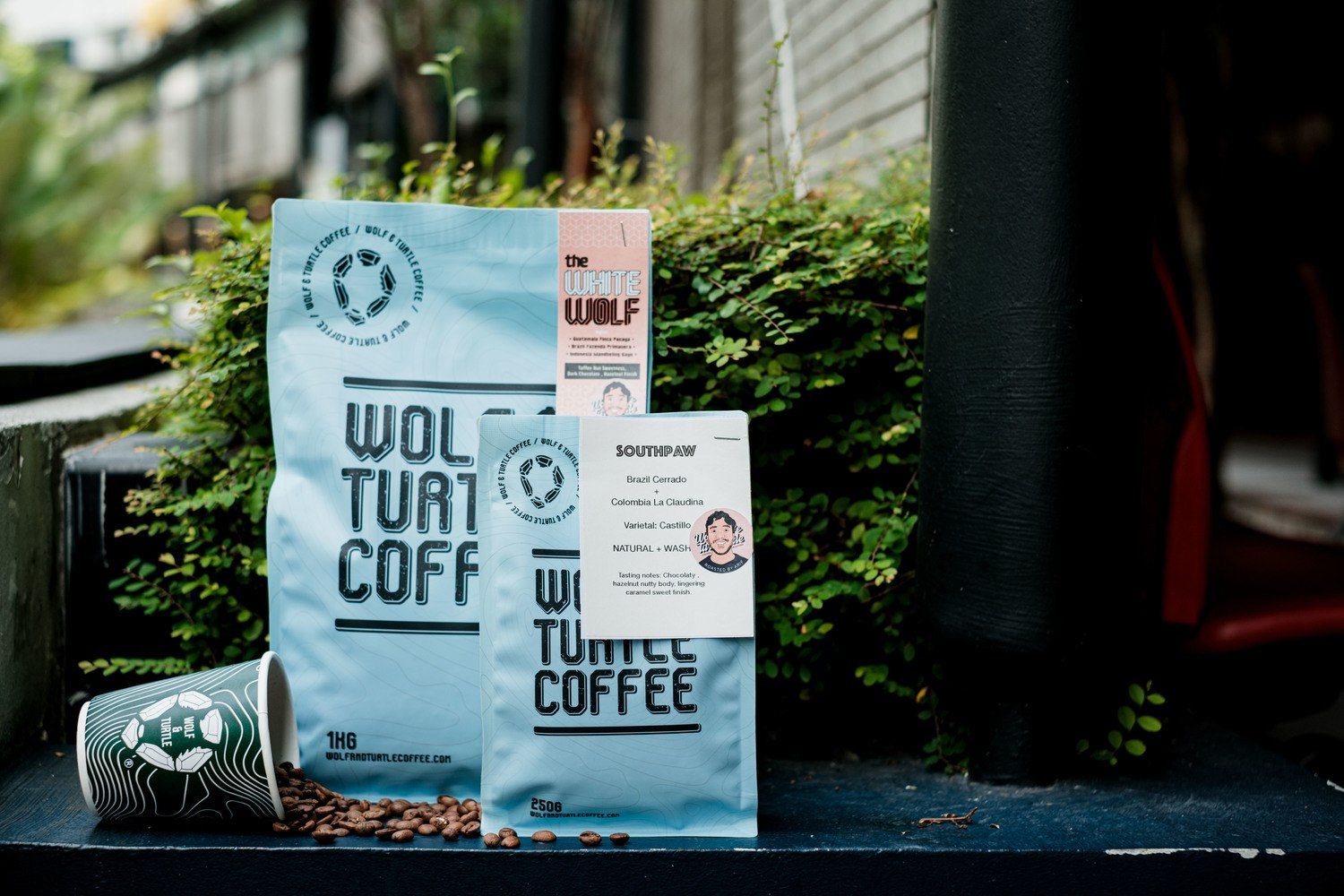 Pavement sign outside Wolf & Turtle Coffee